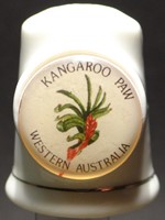 kangaroo paw